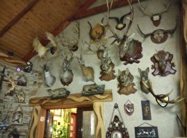 Может охотник и не убийца, тогда объясните мне, что вот лично Вы чувствуете, когда стреляете? Вот я, например, люблю ловить рыбу - это занятие тоже сродни охоте, но я никогда не буду ловить рыбу только ради того, чтобы поймать и потом выпустить, я ловлю рыбу только для того, чтобы её съесть и ловлю ровно столько, сколько могу съесть. Зачем человеку целых два слона? Я занимался подводной охотой, но я никогда не стрелял в ту рыбу, которую употребить в пищу не собирался. Может, конечно, я бы соблазнился поймать, например, акулу, чтобы повесить на стенку её голову - не знаю, не рассматривал такую возможность. А вот чем  руководствуется человек, который понавешал на стену вот это?