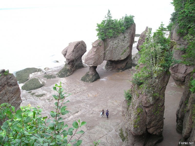 Был на Fundy Bay в 2007-м году. Вот фотка одного и того-же места во время прилива и отлива.