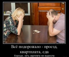 "Надеемся на понимание": ФАС объяснила, почему необходим рост цен на продукты