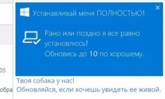 Пост для тех, кого уже порядком достали вездесущие обновления