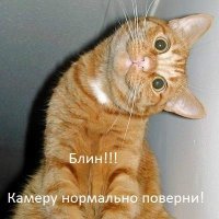 Крупный кайман стал уловом хитрого ягуара