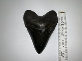 Так более наглядней - из домашнего:).