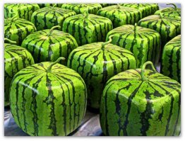 30 примеров беспощадной китайской моды, которые вас рассмешат