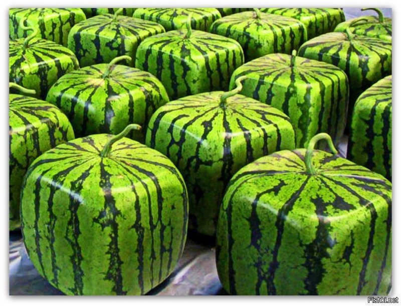 30 примеров беспощадной китайской моды, которые вас рассмешат