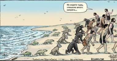 на дальнем плане мы наблюдаем эволюционное развитие Дельфинов