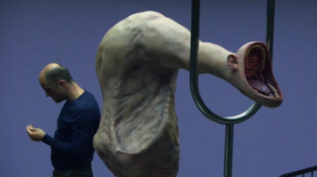 Британка ищет портного, который из ее ампутированной ноги сошьет сумочку