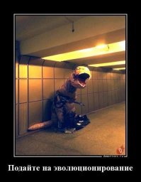 15 картинок о том, как работает эволюция