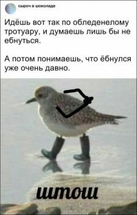 Картинки с надписями