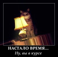 Молодожены несколько месяцев не могли скинуть список гостей...
Нет интернета и сломанный принтер...
За 30 минут до выхода из дома...