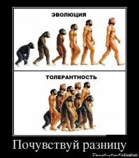 15 картинок о том, как работает эволюция