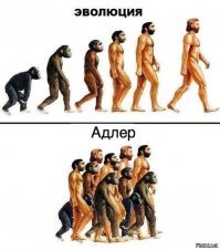 Продолжение истории с автохамом, который избил безногого водителя в Сочи