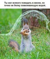 Любителям белок посвящается!