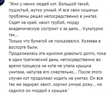 Картинки с надписями