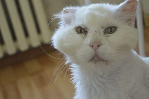 Я старался и почти улыбнулся.