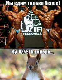 Самые страшные хищники: Станислав Дробышевский опровергает «школьные» мифы о первобытных воинах