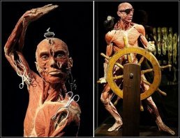 А из любимых родственников предметы интерьера и искусства
(навевает как то сразу :))