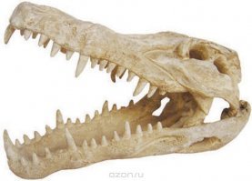 как и здесь