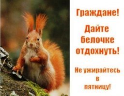 Любителям белок посвящается!