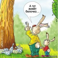 Любителям белок посвящается!