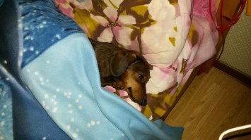 Да, а вот и наша засеря. Мы её очень любим.