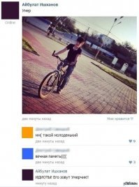 Прикольные и смешные картинки