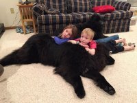 на разбор фото потрачено секунд 10..