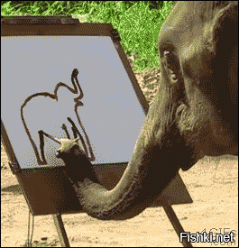 Этот слон рисует лучше чем я