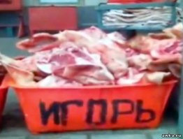 Прикольные и смешные картинки