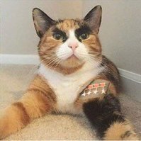 Картинки с надписями