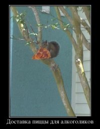 Любителям белок посвящается!