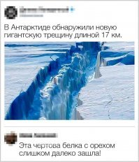 Любителям белок посвящается!