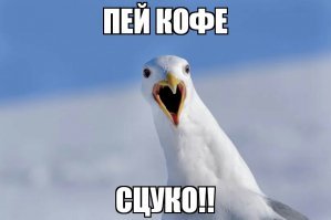 Прикольные и смешные картинки