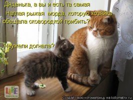 Картинки с надписями для настроения