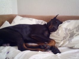 Хороший Мальчик выглядит вот так!;)