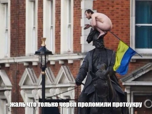 В Киеве проломили череп "главному живодёру Украины"