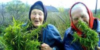 Картинки с надписями