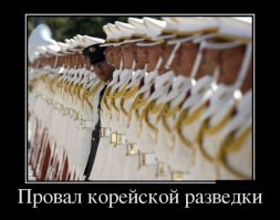 По стойке смирно