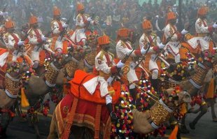 Чтобы дослужить до верблюдов