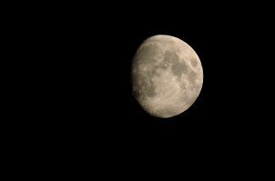 А вот моя.
D7000 + 55-300. 1/125, f/6.3, ISO 100. С рук, плечом упиралась в дерево:)
Без претензий на что-то великое и т.д.