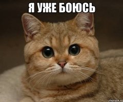 И да Игорёк, антисимитизм может привести к баланде . За гос счёт, плюс охрана. Ну не ваш праздник не ваш . Да и в армии вы не были , да и так не умный .