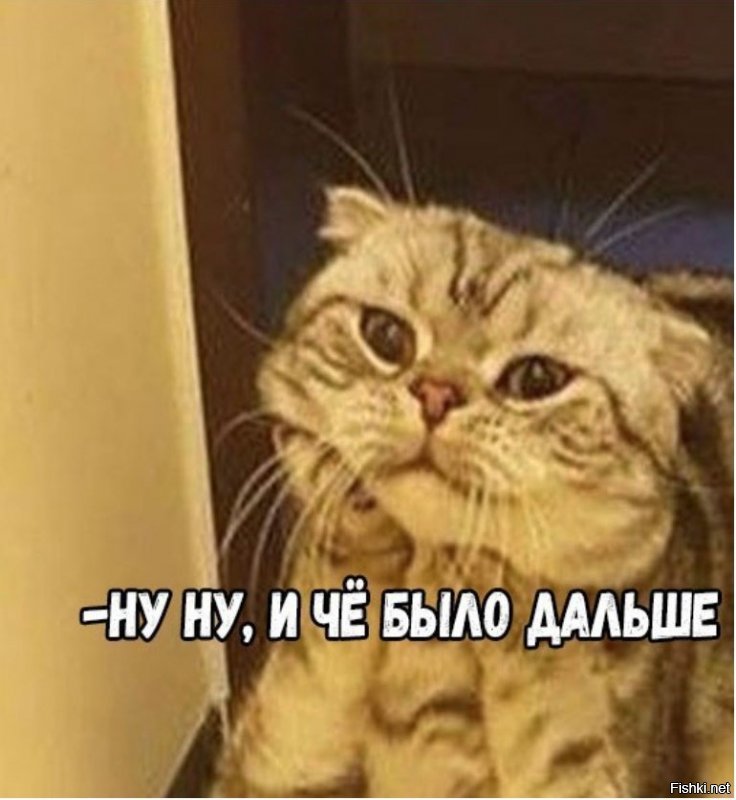 Названы любимые блюда и напитки авиапассажиров