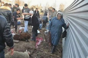 Дебил, для этого есть мясокомбинаты!

А то что творят твои чурбанские соплеменники, это варварство!

На фотках Москва. 21 век.
По твоему это нормально? прям на улице резать баранов?

Ответь мне, Гамадрил ты черножопый!