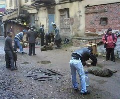Дебил, для этого есть мясокомбинаты!

А то что творят твои чурбанские соплеменники, это варварство!

На фотках Москва. 21 век.
По твоему это нормально? прям на улице резать баранов?

Ответь мне, Гамадрил ты черножопый!