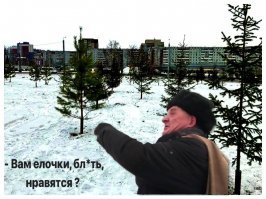 Потеряли стыд, совесть и мозги: Красноярск и Универсиада