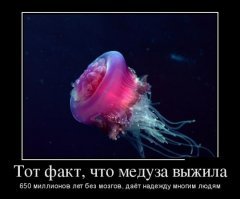 Мальчик, родившийся без мозга, опроверг прогнозы врачей