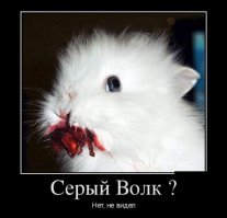 Жить захочешь и в пёсика зашифруешься.