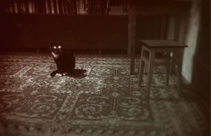 У нашего вчера днюха была, защитнег блин отечества от здравого смысла. 11 лет уже старается дурик.