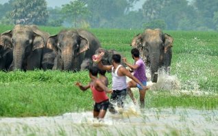 Наверное не только я представил это