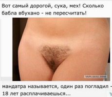 Прикольные и смешные картинки