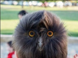 Свежая подборка демотиваторов, которые поднимут вам настроение